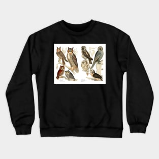 Owl Species - Vintage Print Crewneck Sweatshirt